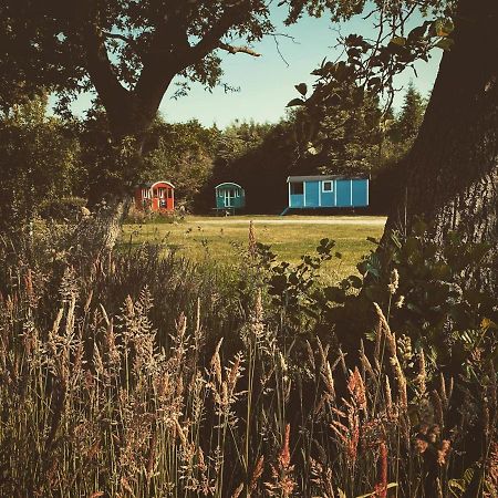 Pipowagens Bij Pannenkoekenrestaurant & Camping De Koppenjan 'Een Uniek Verblijf Met Kinderspeelboerderij' Jubbega-Schurega Eksteriør billede