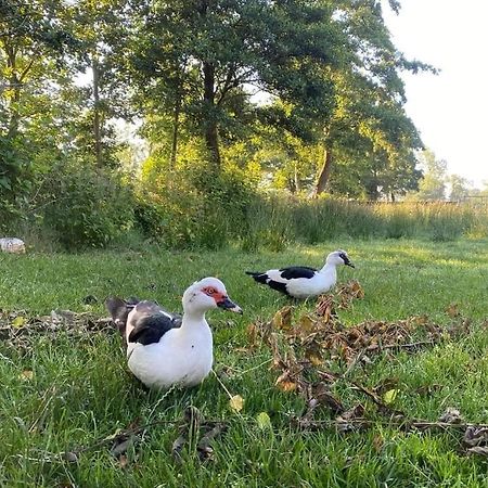 Pipowagens Bij Pannenkoekenrestaurant & Camping De Koppenjan 'Een Uniek Verblijf Met Kinderspeelboerderij' Jubbega-Schurega Eksteriør billede