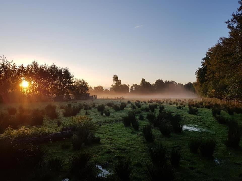 Pipowagens Bij Pannenkoekenrestaurant & Camping De Koppenjan 'Een Uniek Verblijf Met Kinderspeelboerderij' Jubbega-Schurega Eksteriør billede
