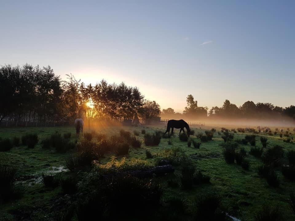 Pipowagens Bij Pannenkoekenrestaurant & Camping De Koppenjan 'Een Uniek Verblijf Met Kinderspeelboerderij' Jubbega-Schurega Eksteriør billede