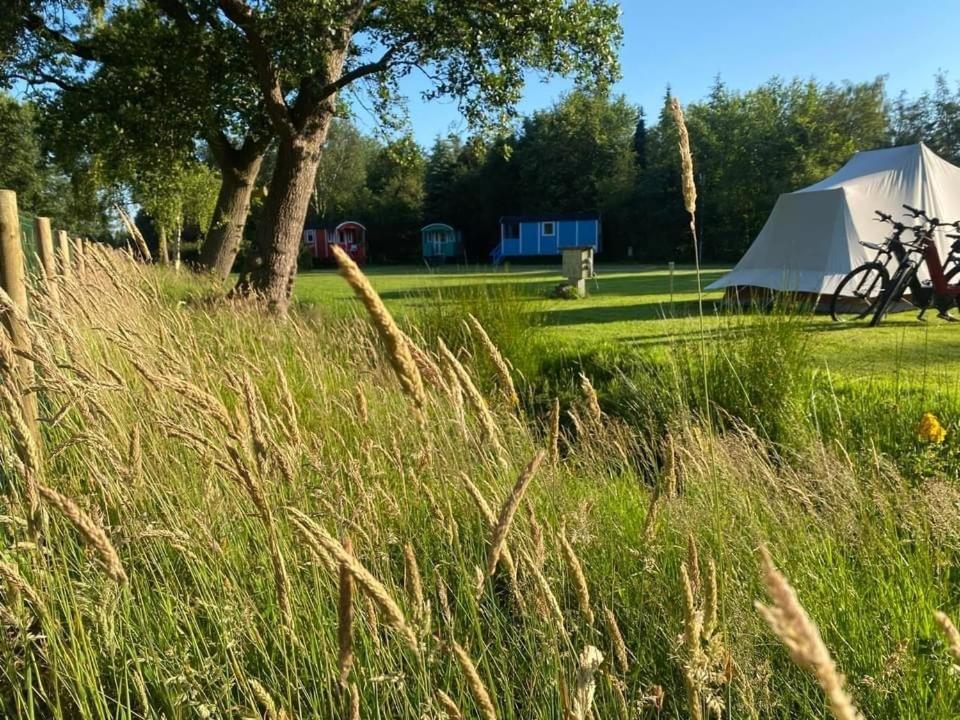 Pipowagens Bij Pannenkoekenrestaurant & Camping De Koppenjan 'Een Uniek Verblijf Met Kinderspeelboerderij' Jubbega-Schurega Eksteriør billede